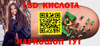 ПСИЛОЦИБИНОВЫЕ ГРИБЫ Можга
