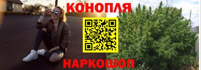 ПСИЛОЦИБИНОВЫЕ ГРИБЫ Можга