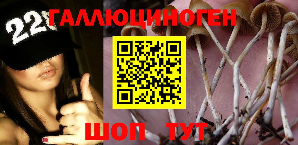 Псилоцибиновые грибы мицелий Чайковский