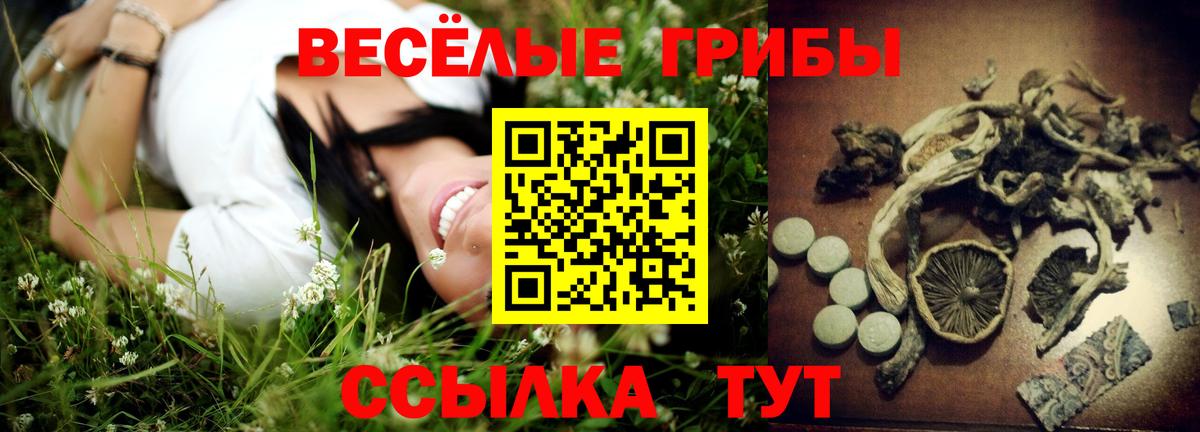 Псилоцибиновые грибы GOLDEN TEACHER  Вход с VPN  Чайковский 